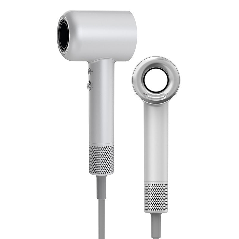 1600w High Power High Speed Brushless Negative Hair Dryer - White / 220V