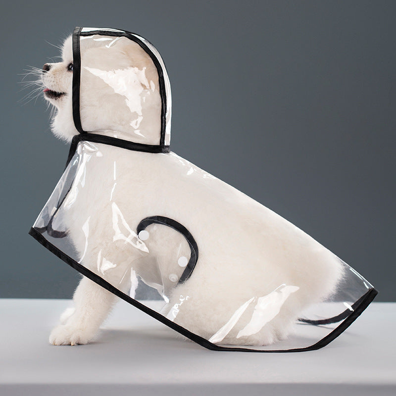 PET ACCESSORIES
